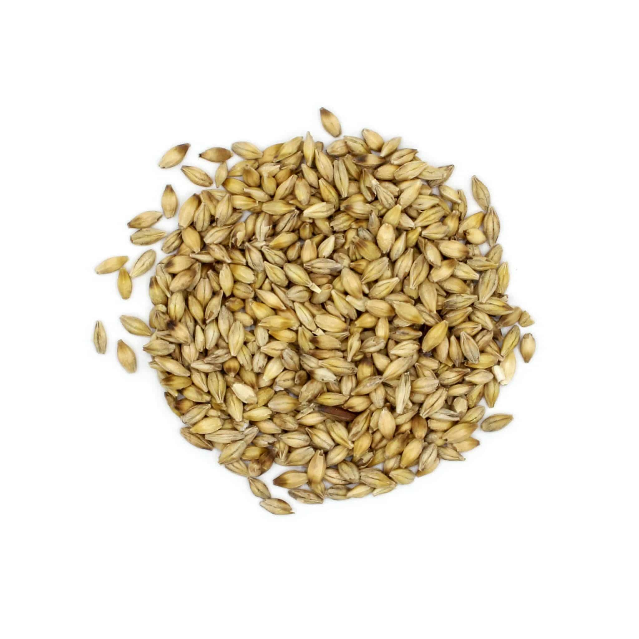 Whole Barley csg