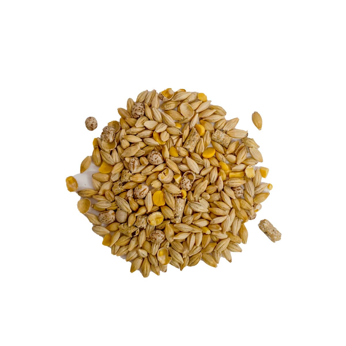 Ewe & Lamb Blend - Image 2